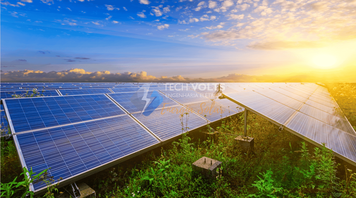 fotovoltaico agronegocio