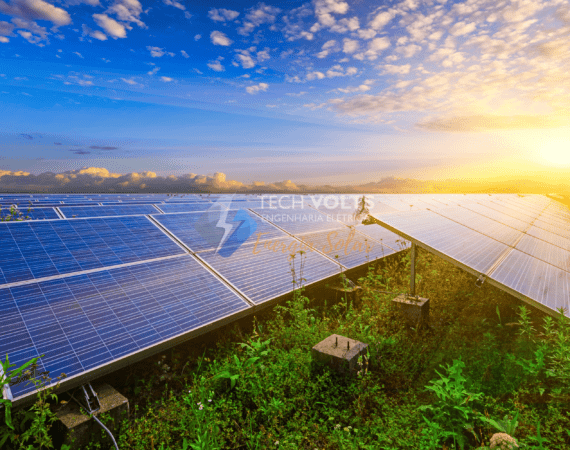 fotovoltaico agronegocio