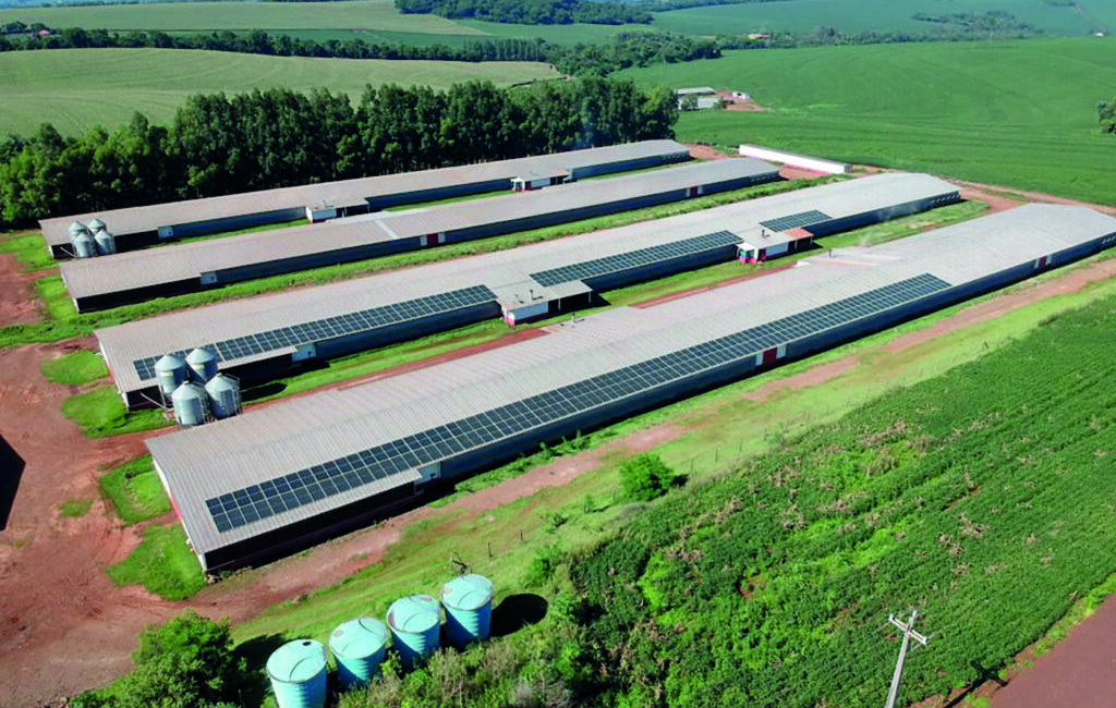 energia-solar-aviario-