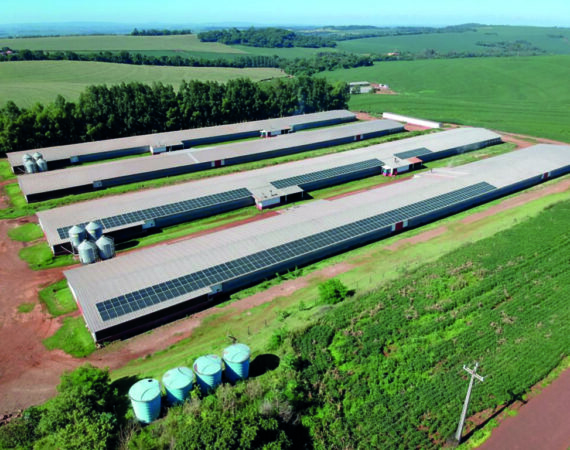 energia-solar-aviario-