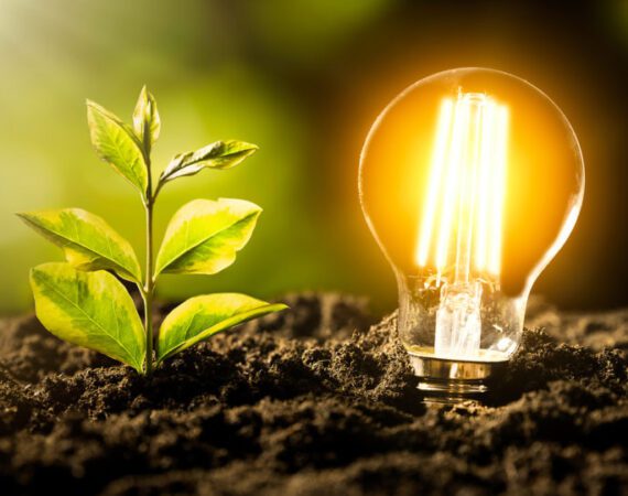 Glowing LED light bulb. Ecological friendly and sustainable environment