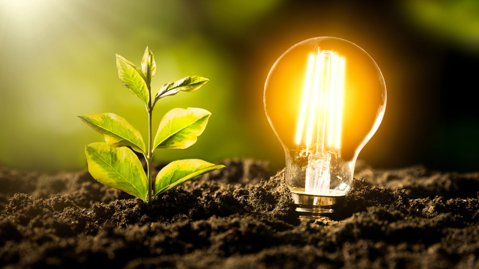 Glowing LED light bulb. Ecological friendly and sustainable environment